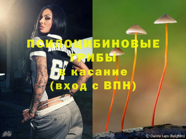кокс Пестово