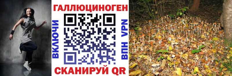 даркнет сайт  Короча  Псилоцибиновые грибы Magic Shrooms 